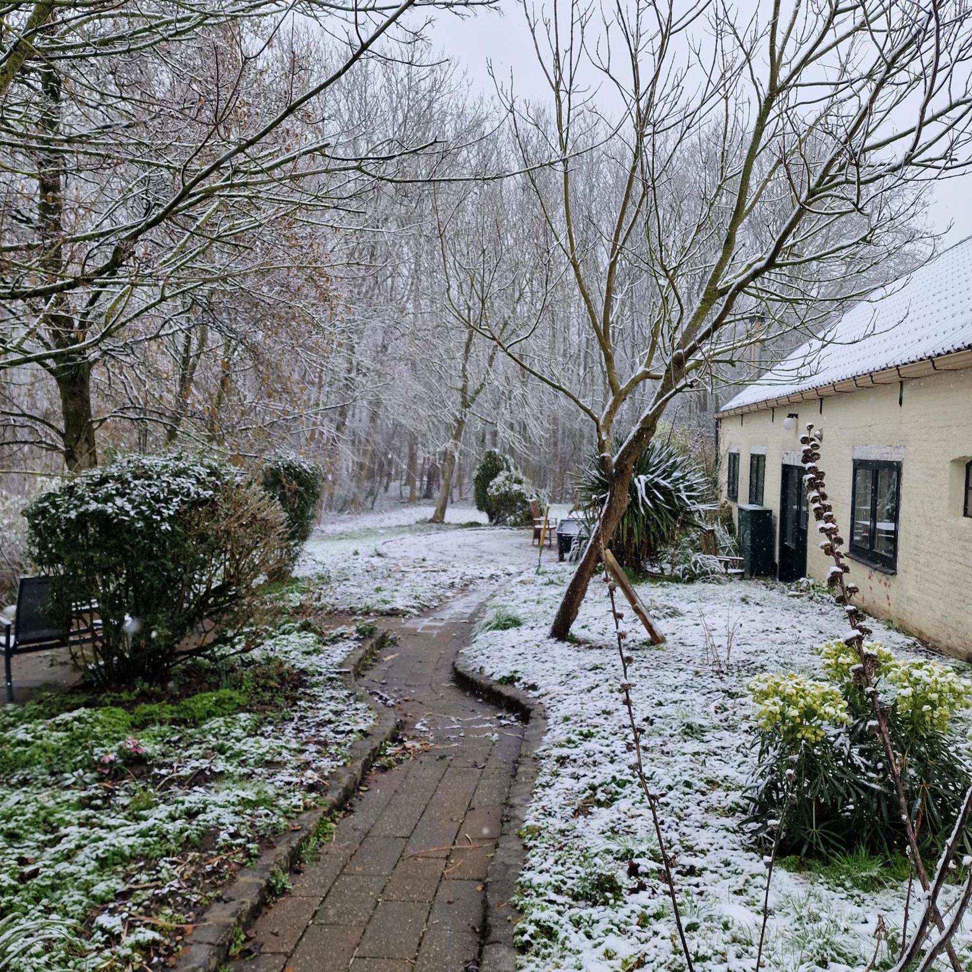 Huize Dijkwater Dreischor Exteriör bild